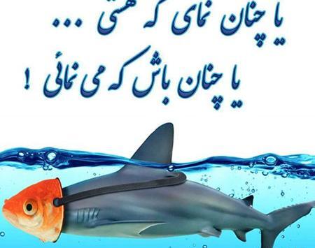 عکس نوشته مربوط به صداقت