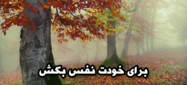 عکس استوری پاییزی واتساپ