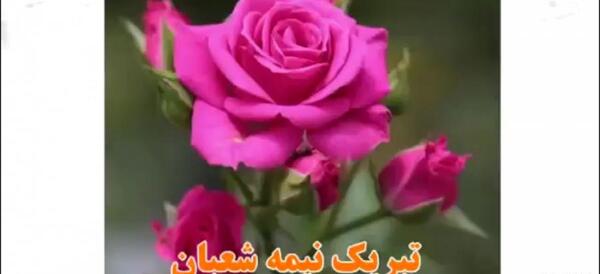 عکس و فیلم درباره نیمه شعبان