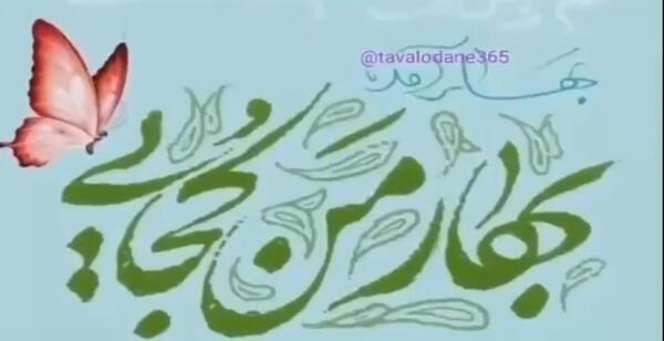 عکس و فیلم درباره نیمه شعبان