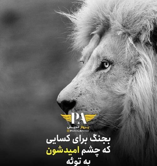 عکس شیر برای پروفایل با نوشته