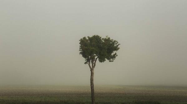 نمایشگاه عکس گالری شیرین