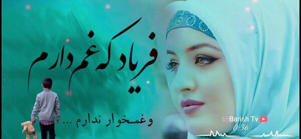 عکس صدف شانیکو