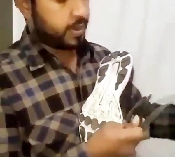 عکس کفش شیطان