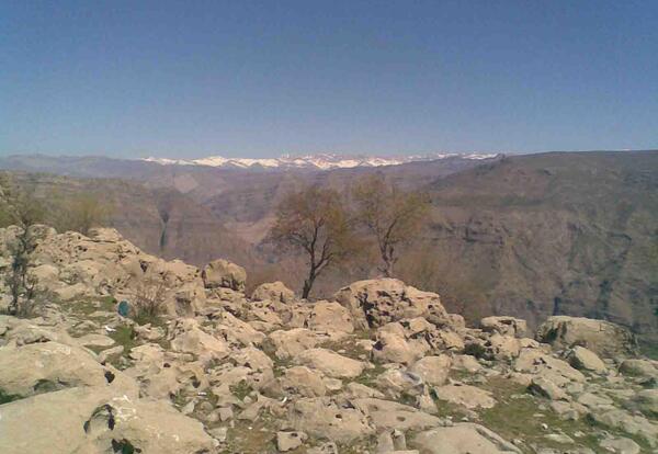 عکس گلزار ایذه