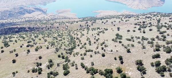 عکس گلزار ایذه