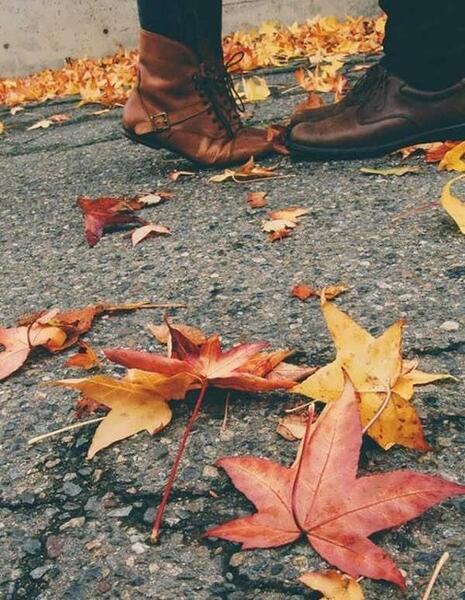 عکس پاییزی عاشقانه زیبا