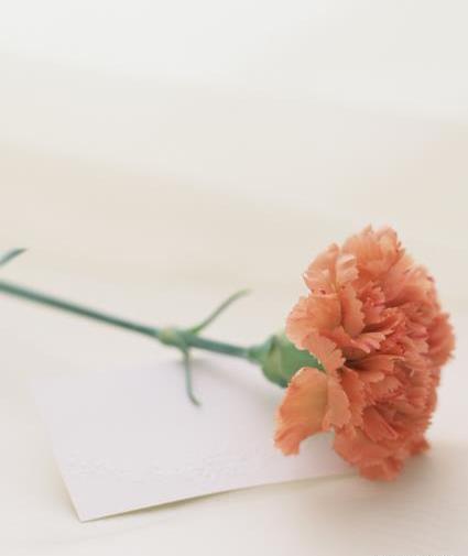 عکس دسته گل خیلی زیبا