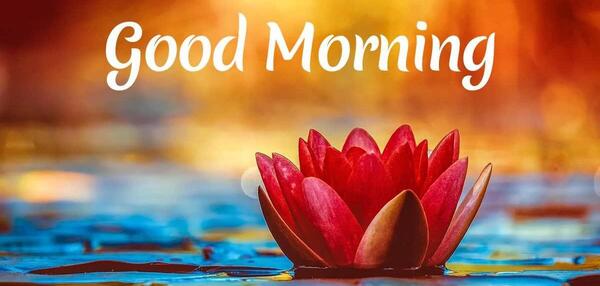عکس نوشته صبحگاهی زیبا