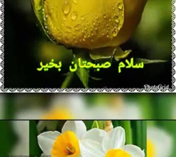 عکس نوشته سلام صبح بخیر برای پروفایل