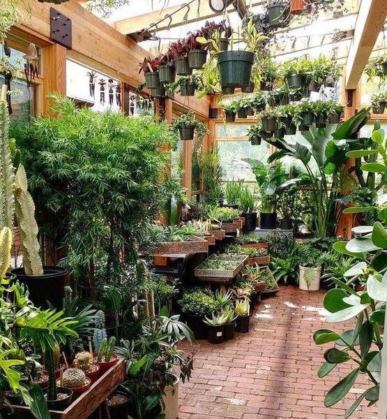 عکس ایده برای ساخت گلخانه خانگی