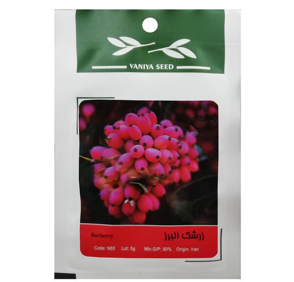 عکس بذر زرشک
