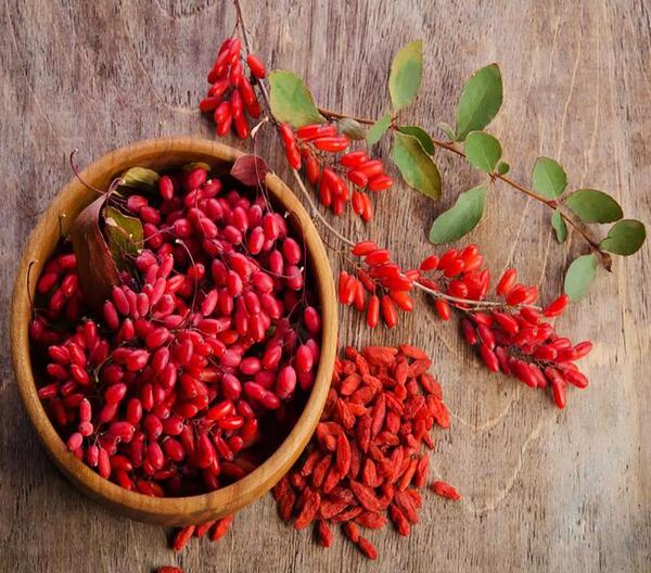 عکس بذر زرشک