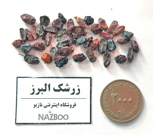 عکس بذر زرشک