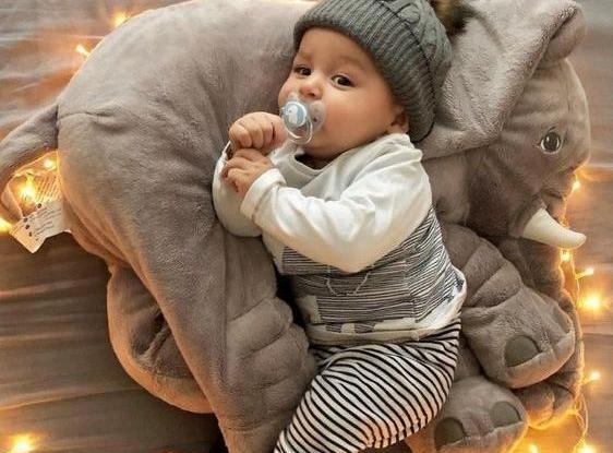 عکس ماهگرد با گندم