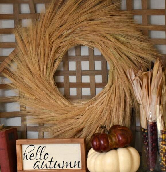 عکس ماهگرد با گندم