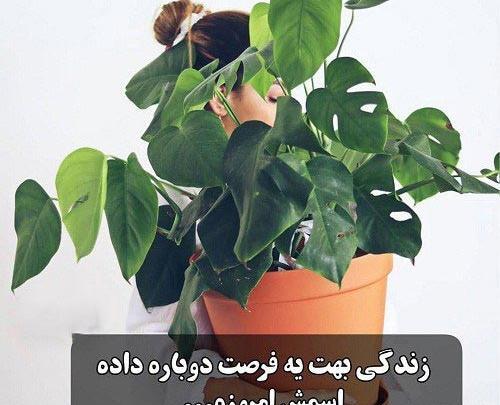 عکس نوشته فرصت ندادن