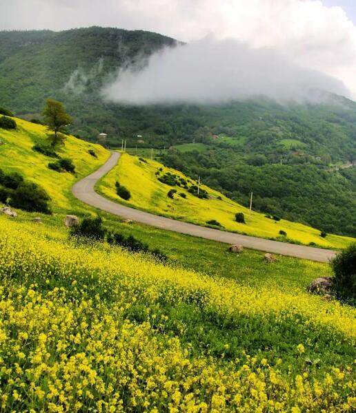 عکس های زیبا از طبیعت شمال ایران