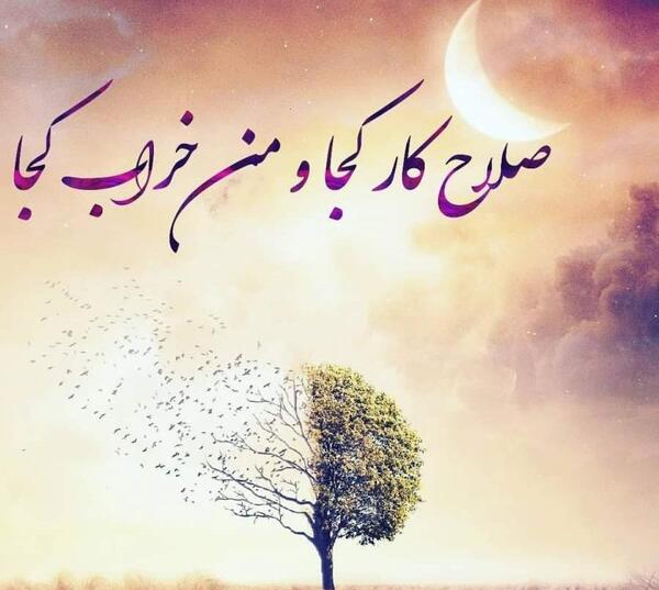 عکس تارا محب کجا زندگی میکند؟