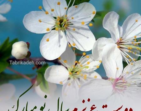 عکس نوشته تبریک سال نو 1401 به رفیق