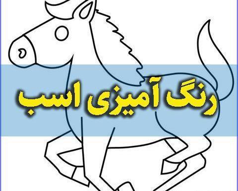 عکس اسب کوچک