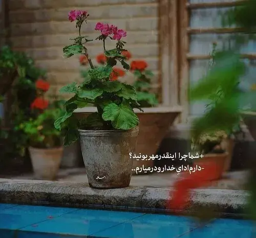 عکس نوشته کپی آزاد