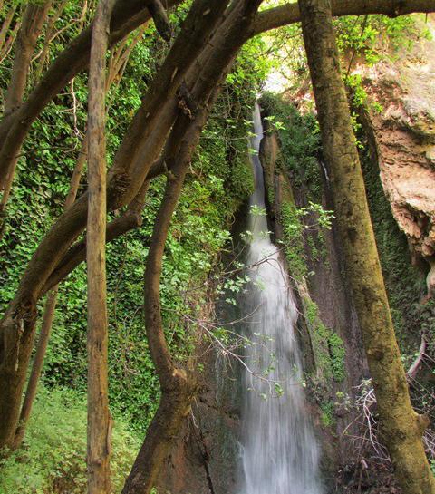 عکس ثنا جعفری