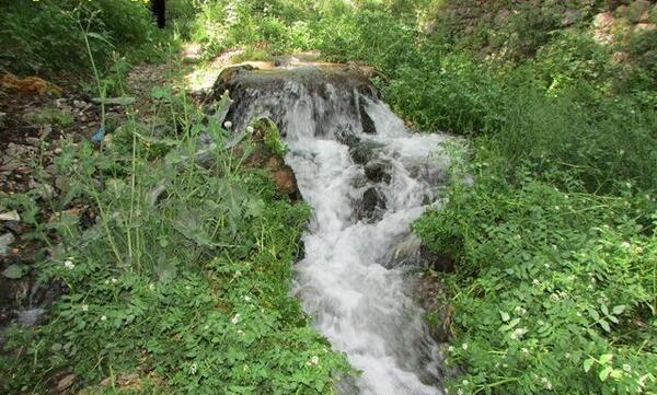 عکس ثنا جعفری