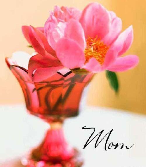عکس نوشته عروس حسود