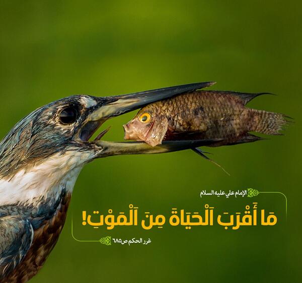 عکس نوشته حدیث مرگ
