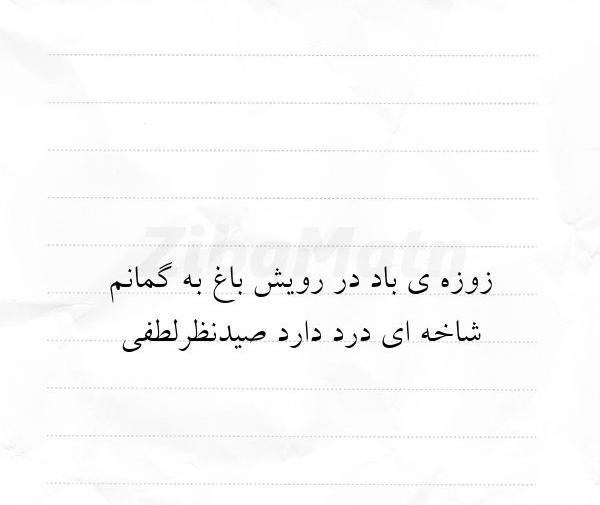 عکس نوشته شعر جدید فاضل نظری