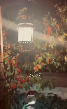 عکس تتو شعر مادر