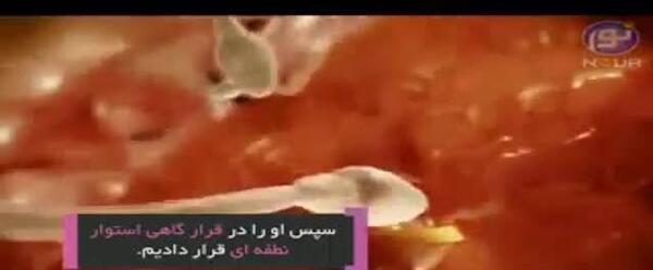عکس پری دریایی جن