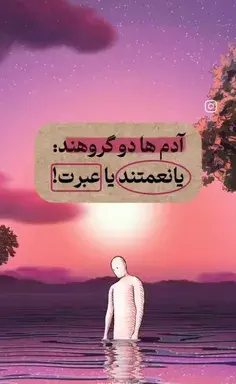 عکس رضا و عسل