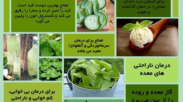 عکس نعناع تازه