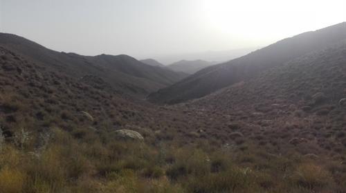 عکس زمستان طبیعی