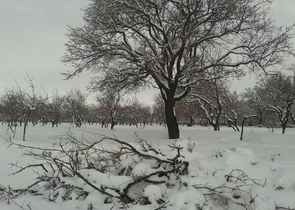 عکس زمستان طبیعی