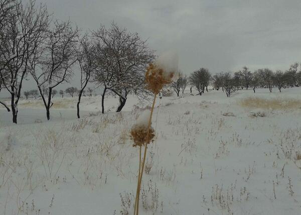 عکس زمستان طبیعی