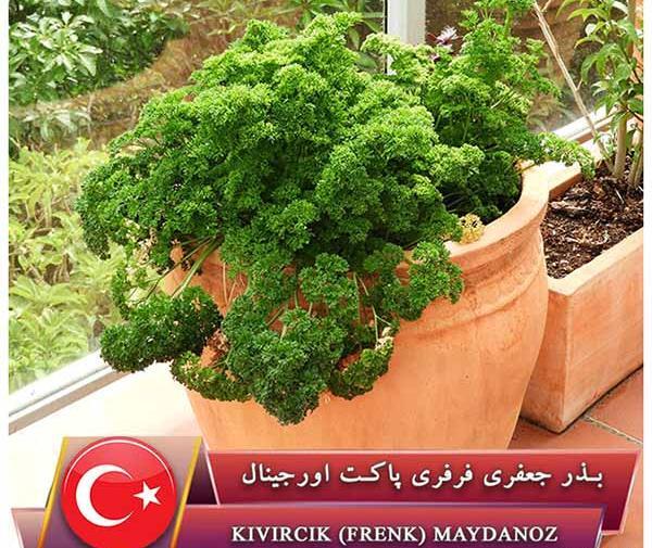 عکس جعفری فرنگی