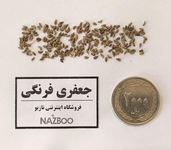 عکس جعفری فرنگی
