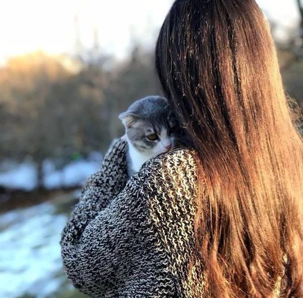 عکس پروفایل دخترونه فانتزی گربه
