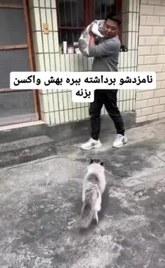 عکس برادر غیرتی