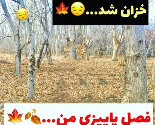 عکس پروفایل آمدن پاییز