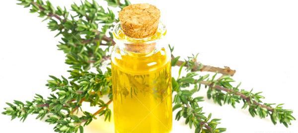 عکس روغن آویشن