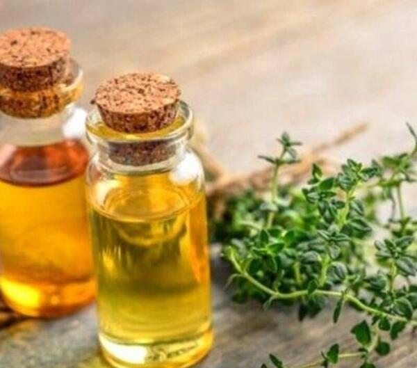 عکس روغن آویشن