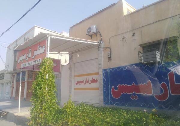 عکس عطر نارسیس