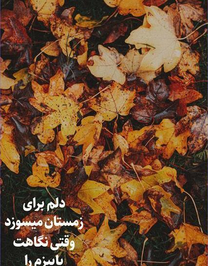 عکس نوشته پاییز رفت