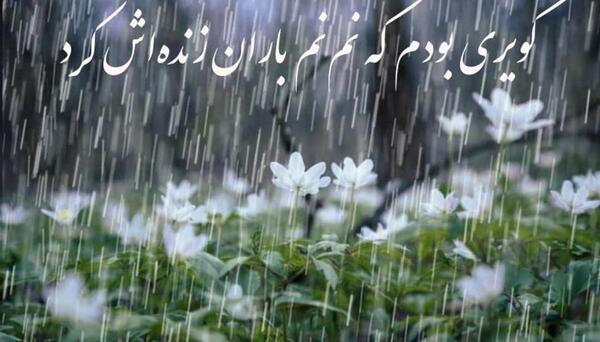 عکس نوشته باران زمستانی