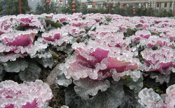 عکس باران یخ