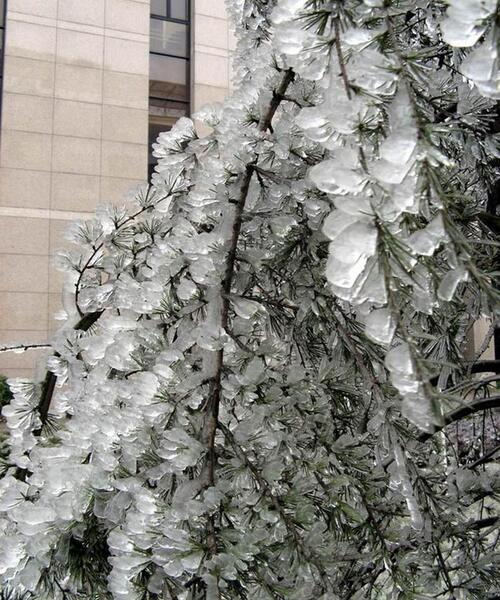عکس باران یخ